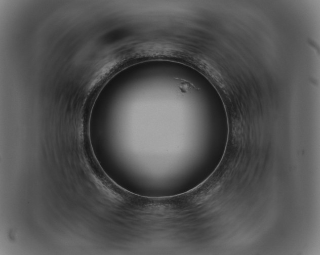 X0000093360629200710111455
