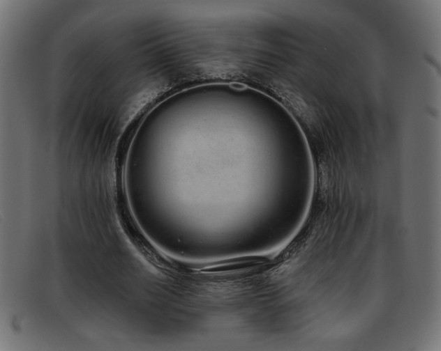 X0000093360630200710111455