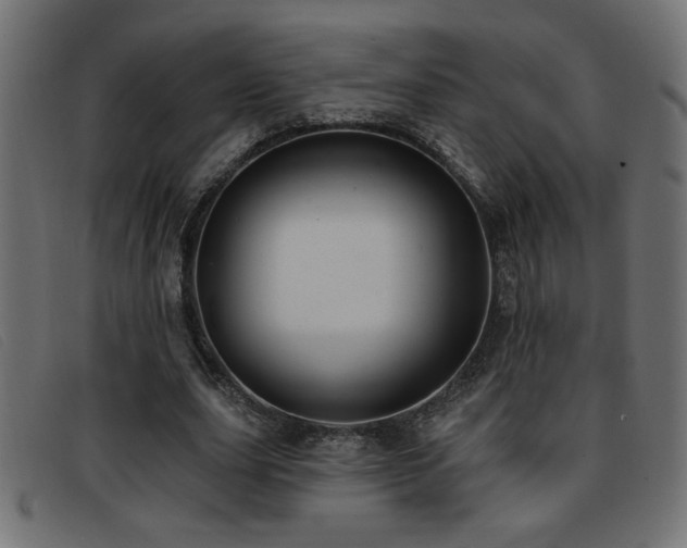 X0000093360631200710111455