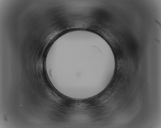 X0000093360632200710111455