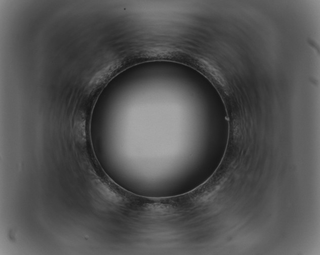 X0000093360633200710111455