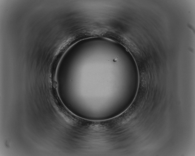 X0000093360634200710111455