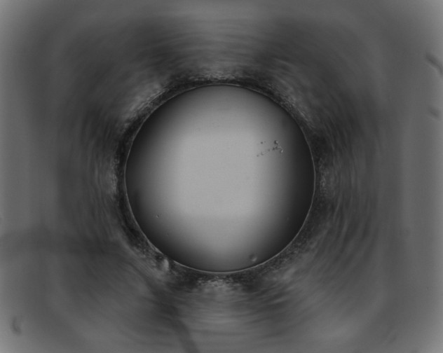 X0000093360635200710111455