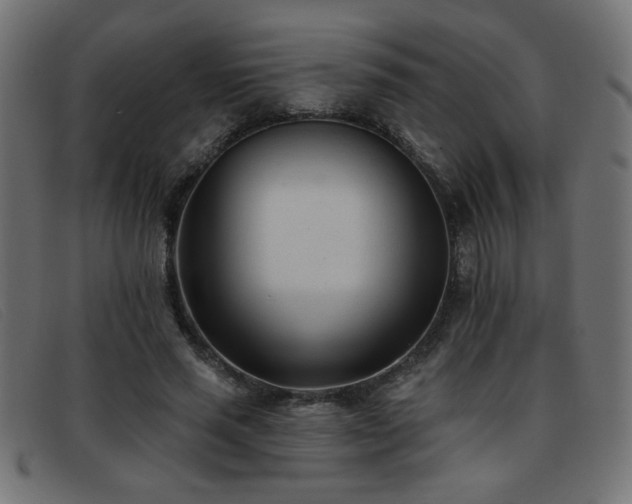 X0000093360637200710111455