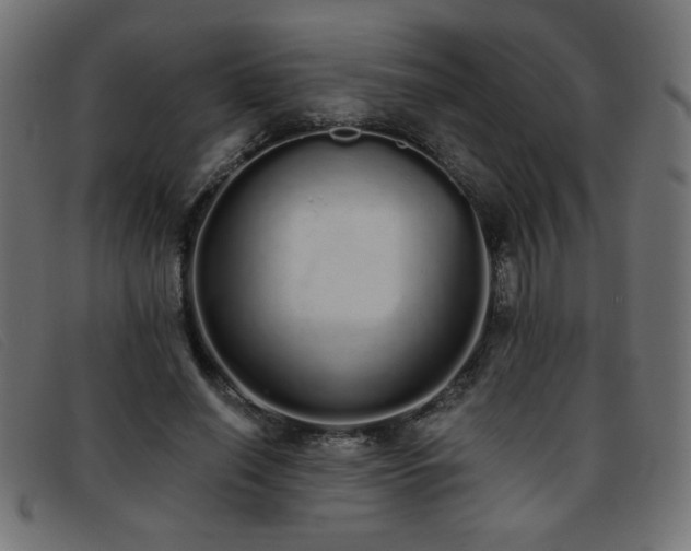 X0000093360638200710111455
