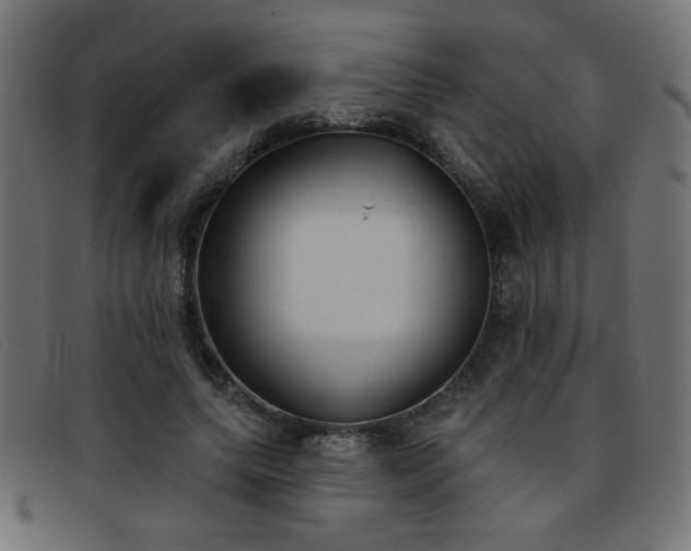 X0000093360639200710111455