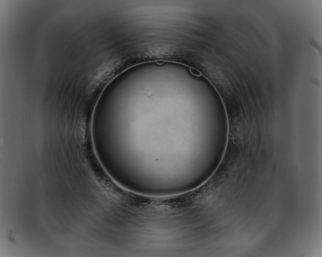 X0000093360640200710111455