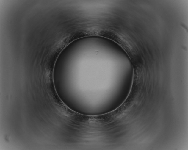 X0000093360641200710111455
