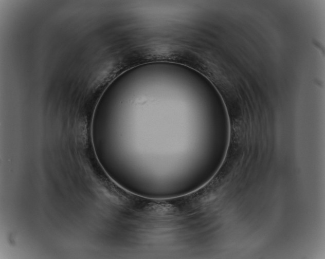 X0000093360642200710111455