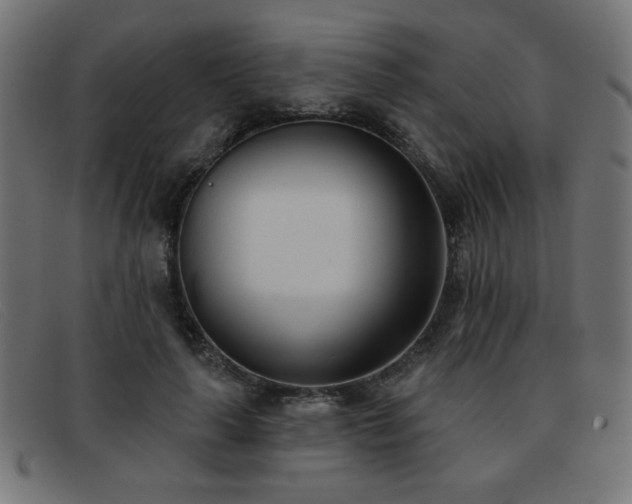 X0000093360643200710111455