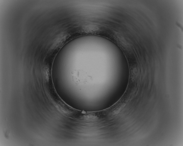 X0000093360644200710111455