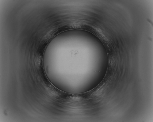 X0000093360645200710111455