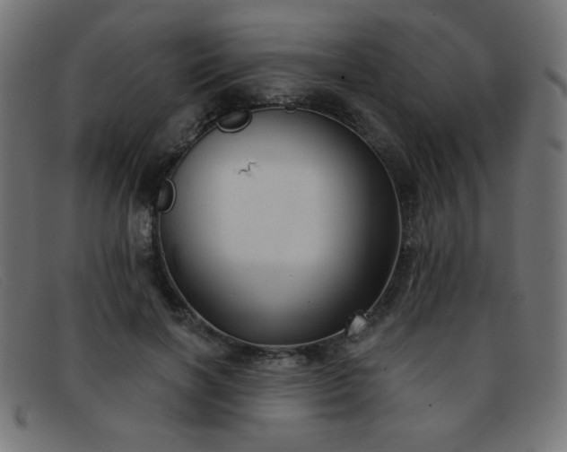 X0000093360646200710111455