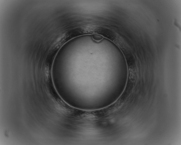 X0000093360648200710111455