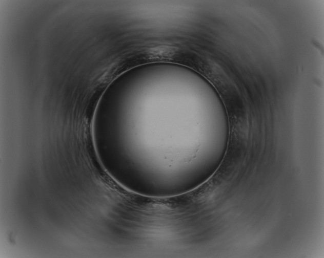 X0000093360649200710111455