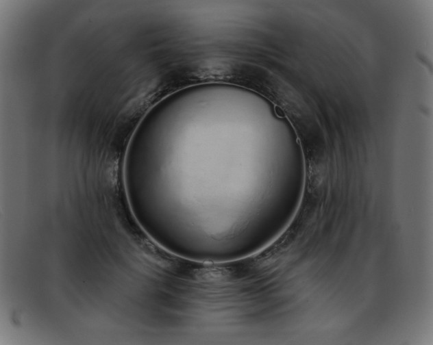 X0000093360652200710111455