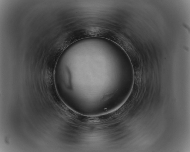 X0000093360653200710111455