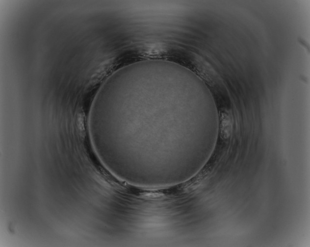 X0000093360654200710111455