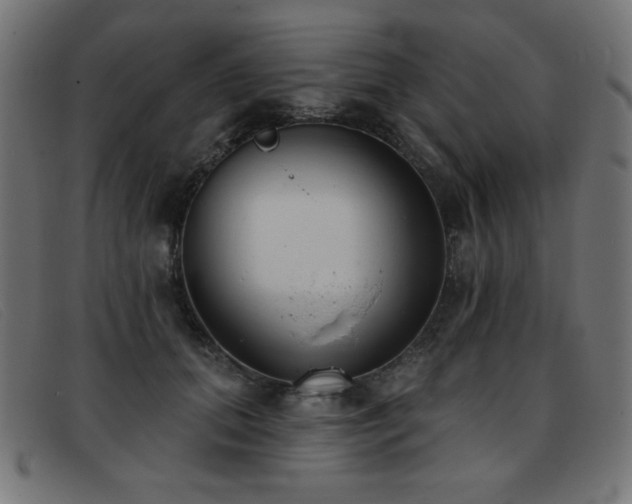 X0000093360655200710111455