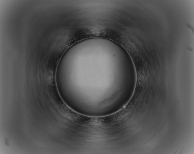 X0000093360656200710111455