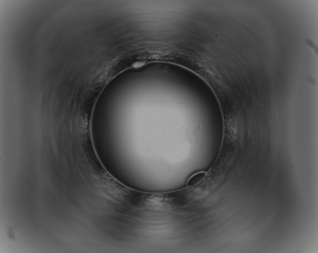 X0000093360657200710111455