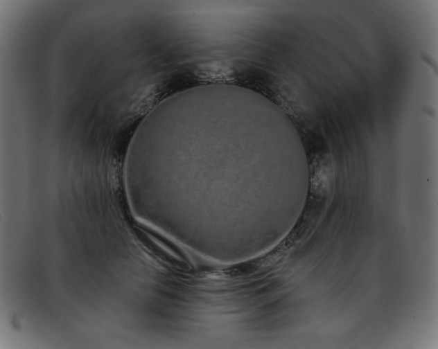 X0000093360658200710111455