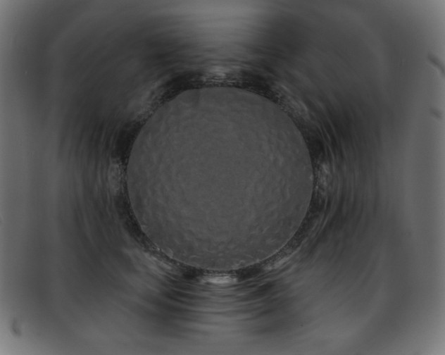 X0000093360659200710111455