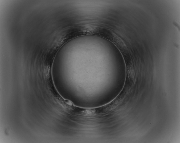 X0000093360660200710111455