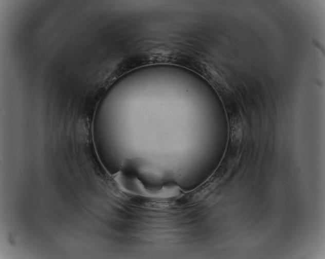 X0000093360661200710111455