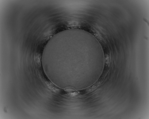 X0000093360662200710111455