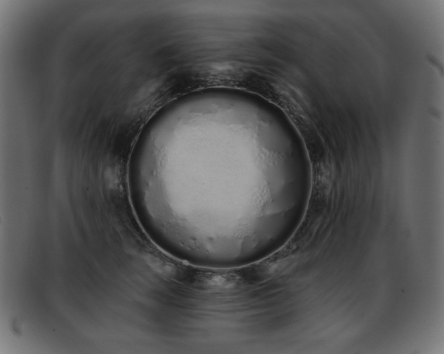 X0000093360663200710111455