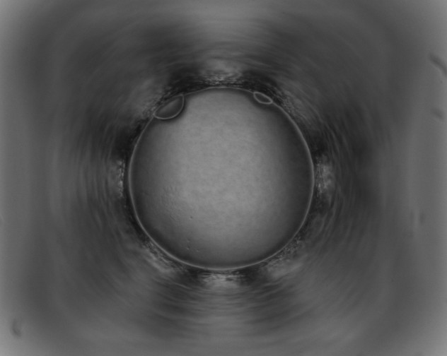 X0000093360664200710111455