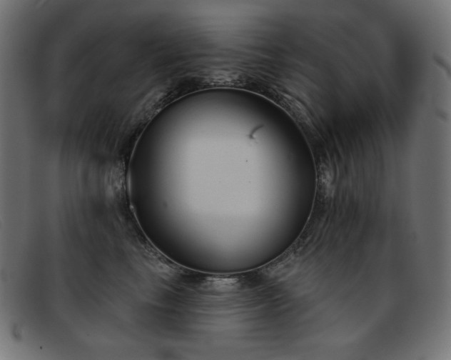 X0000093360665200710111455