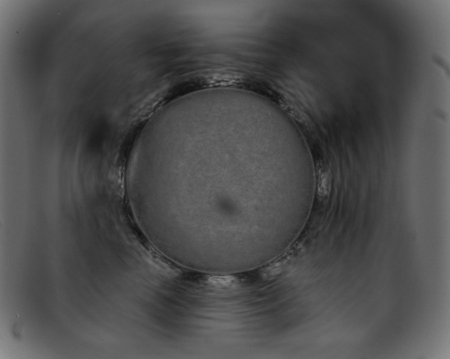 X0000093360666200710111455