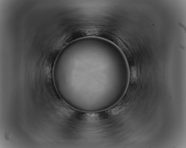 X0000093360667200710111455