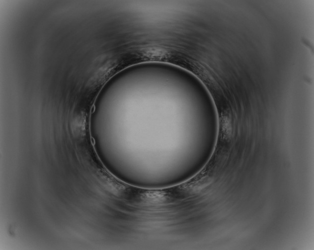 X0000093360668200710111455