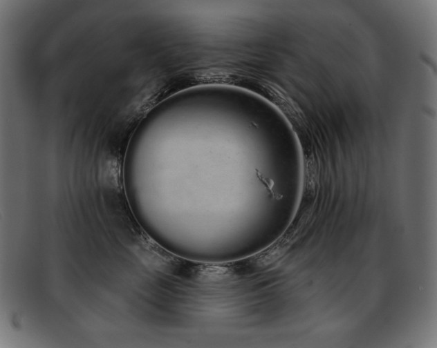 X0000093360669200710111456