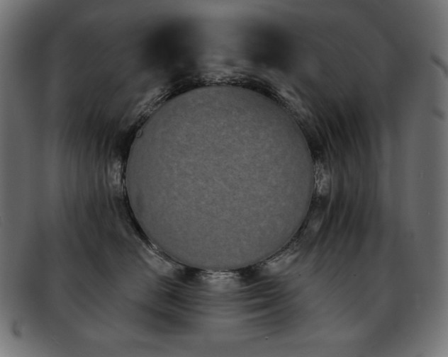 X0000093360670200710111456