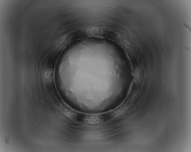 X0000093360671200710111456
