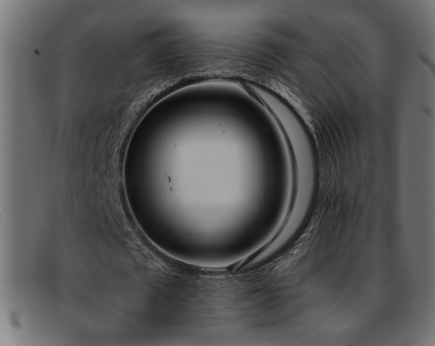 X0000093360673200710111455