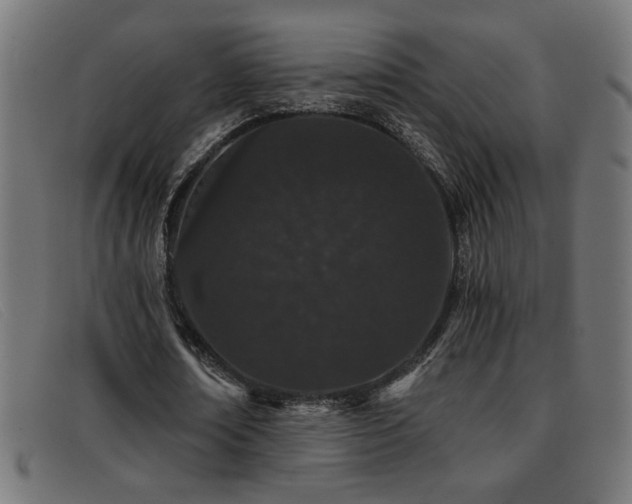 X0000093360674200710111455