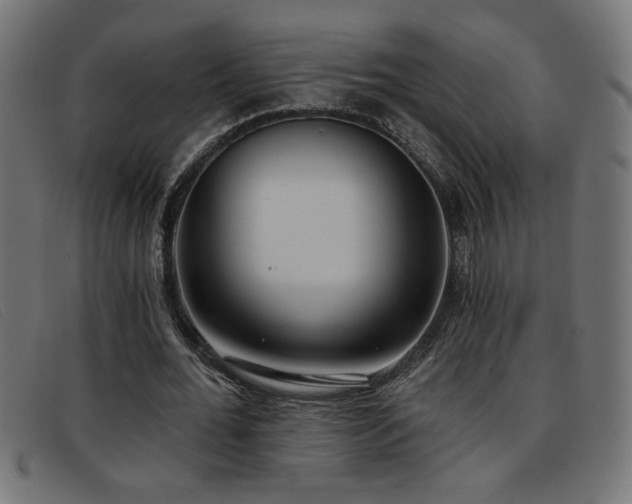X0000093360676200710111455