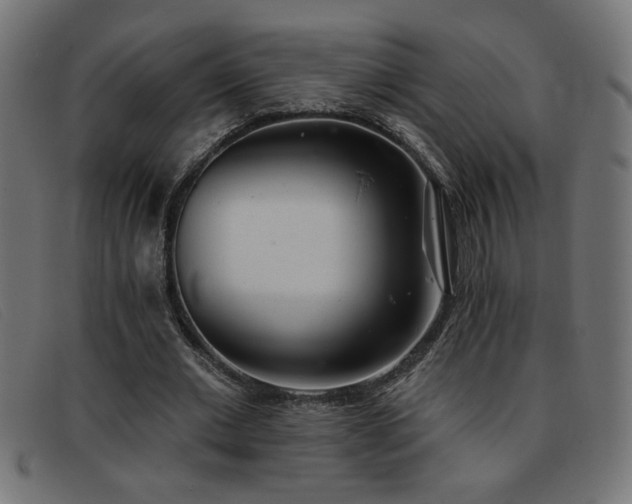 X0000093360677200710111455