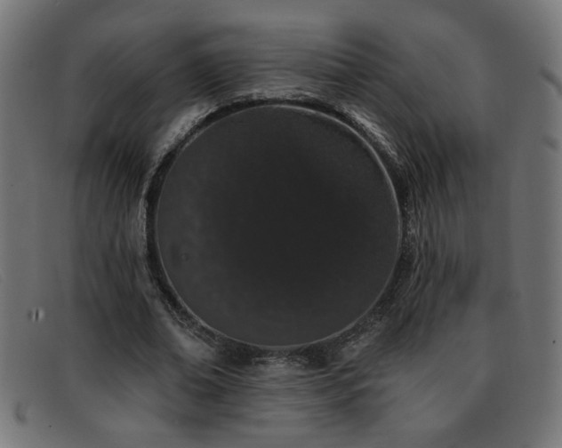 X0000093360678200710111455