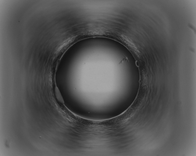 X0000093360681200710111455