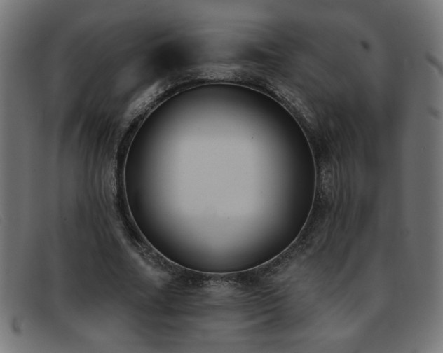 X0000093360682200710111455