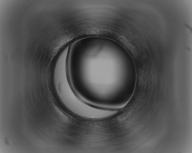 X0000093360683200710111455