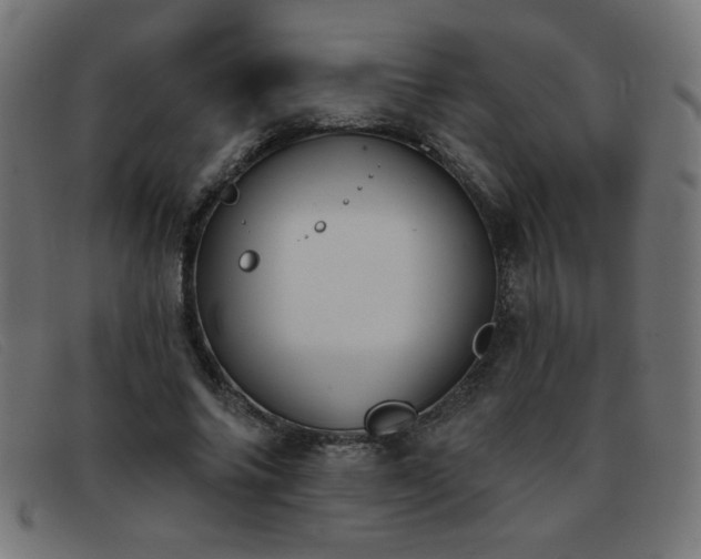 X0000093360686200710111455
