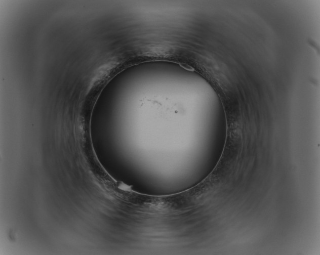 X0000093360688200710111455