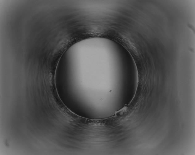 X0000093360689200710111455